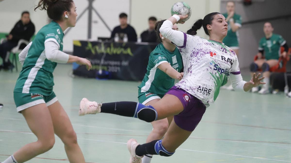 El Adesal balonmano - Anaitasuna, en imágenes