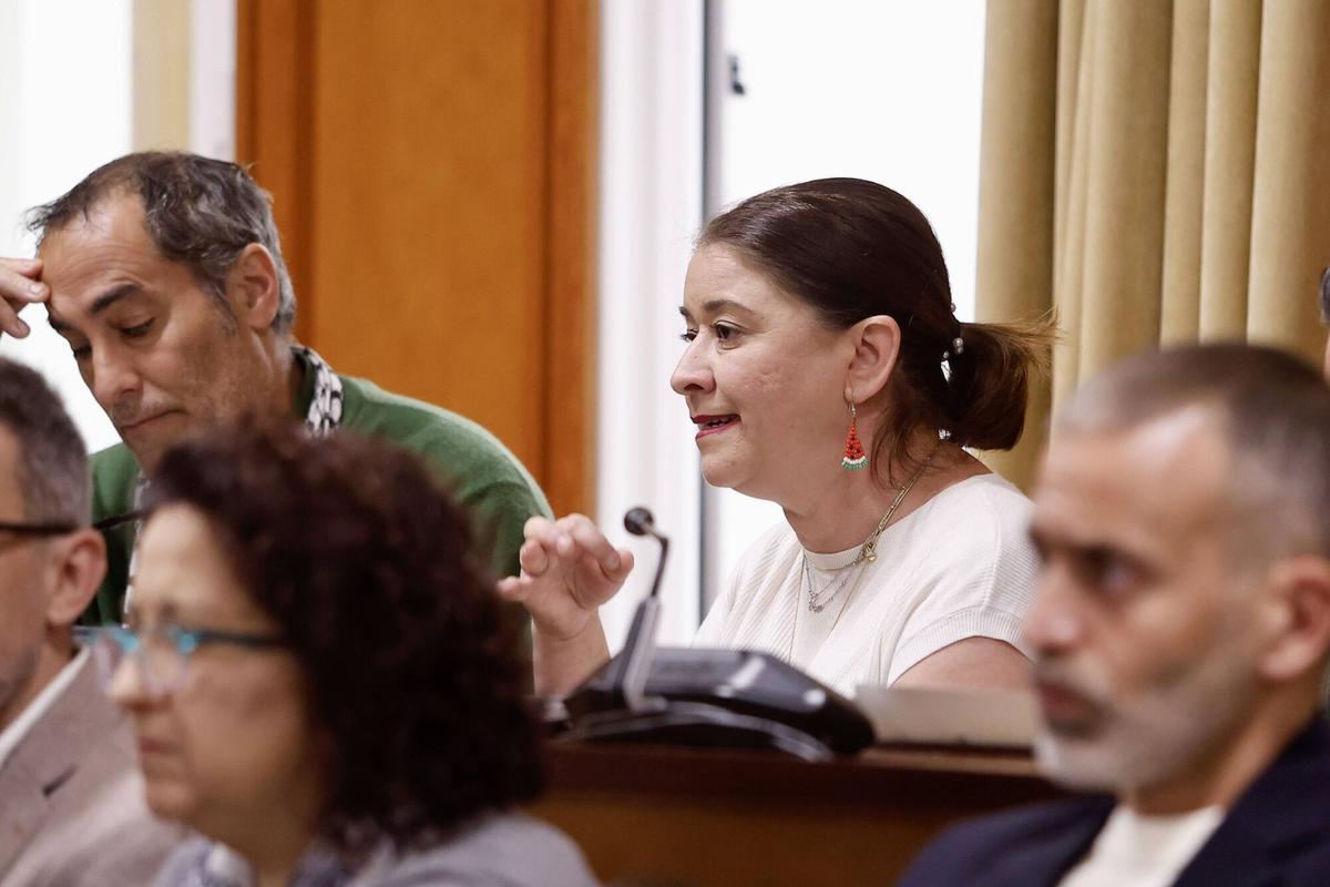 Ayuntamiento de Córdoba. El alcalde de Córdoba, José María Bellido, preside el Pleno extraordinario. En el Salón de Plenos