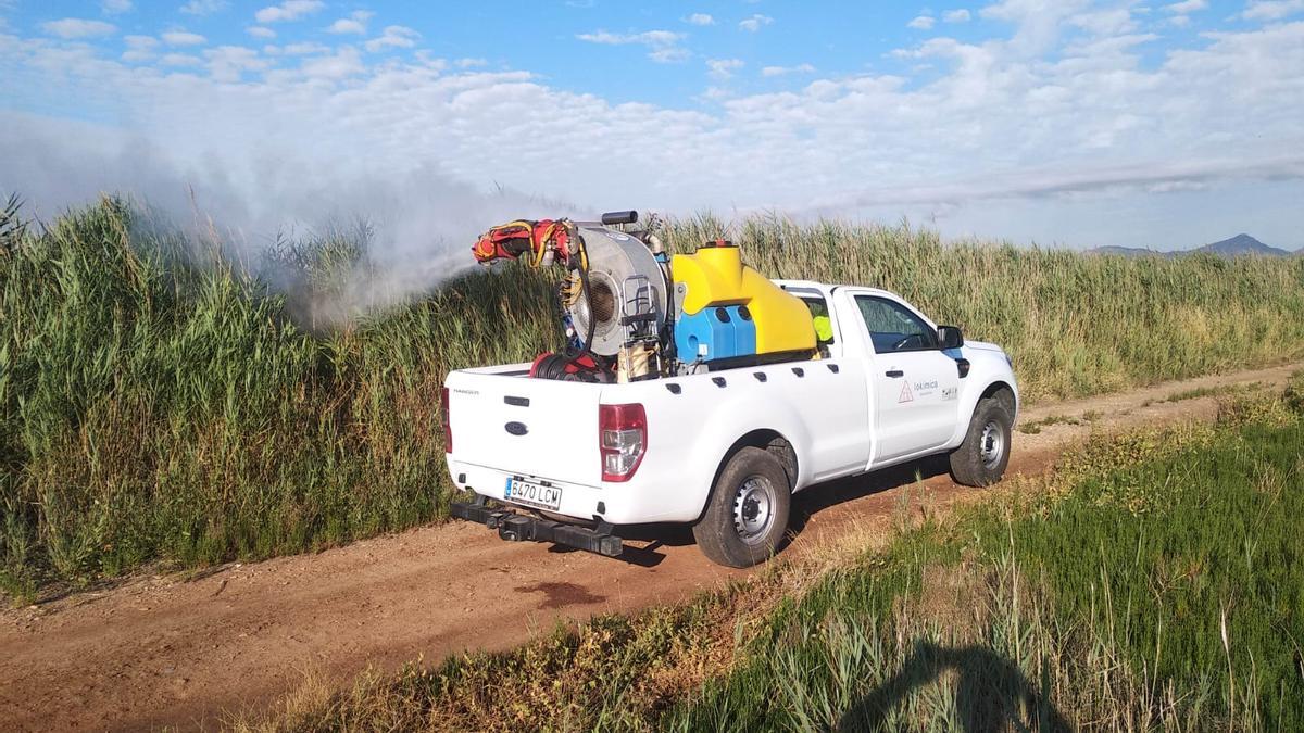 Actuaciones contra los mosquitos en una zona del término de Nules.