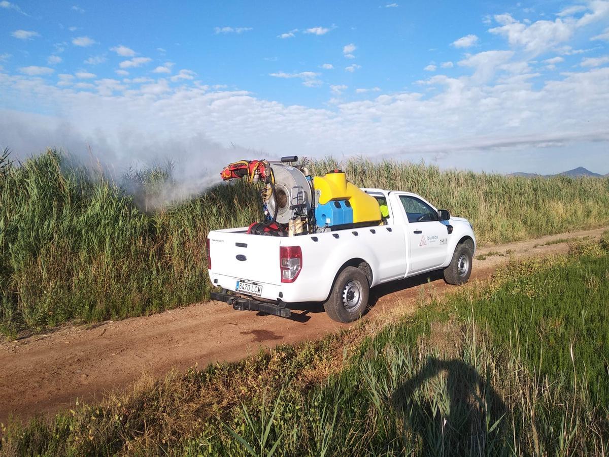 Actuaciones contra los mosquitos en una zona del término de Nules.