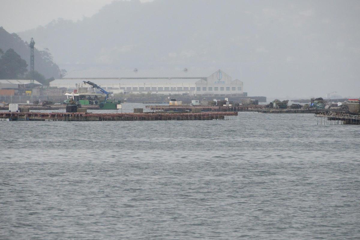Un barco bateeiro trabajando ayer en polígono mejillonero de Meira, en Moaña.