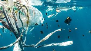 Los océanos acumulan más 3,2 millones de toneladas de plásticos flotantes.