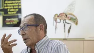 Francisco Puerta, zoólogo: "El avispón oriental no se va a ir y probablemente sea un problema cada vez mayor"
