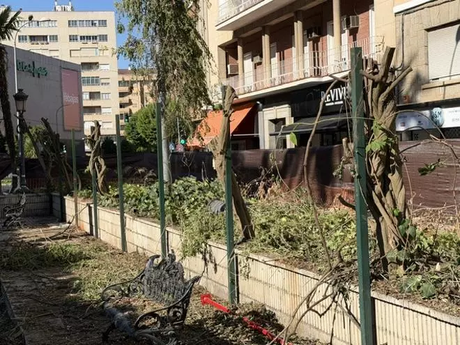 El PSOE exige explicaciones por el desmontaje de la pérgola vegetal de la avenida de Huelva de Badajoz