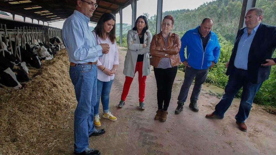 Por la izquierda, Nicolás Lozano, María José Miranda, Pilar Suárez, Gabriela Fernández, Monchu González y Ramón Argüelles, ayer, en la ganadería Urbasa de Condres.