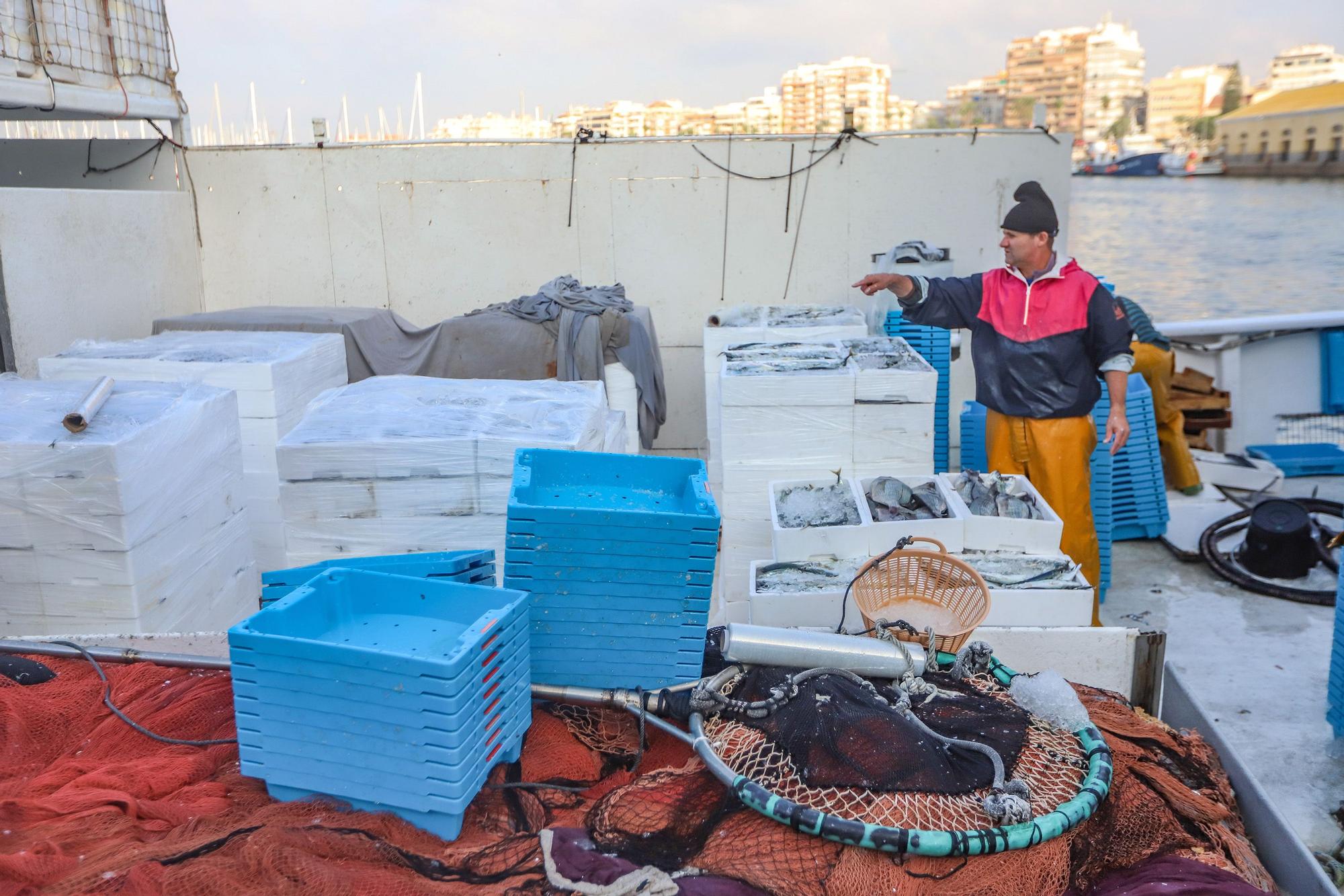 La subasta de la nueva lonja pesquera de Torrevieja se estrena con la venta de 13.000 kilos de boquerón y sardina