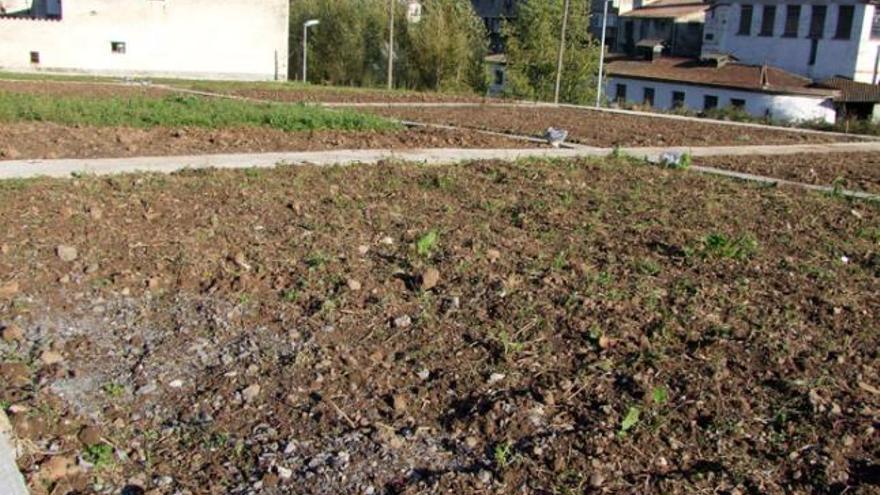 Els horts  tornen a Peracaula a Sant Joan les Fonts