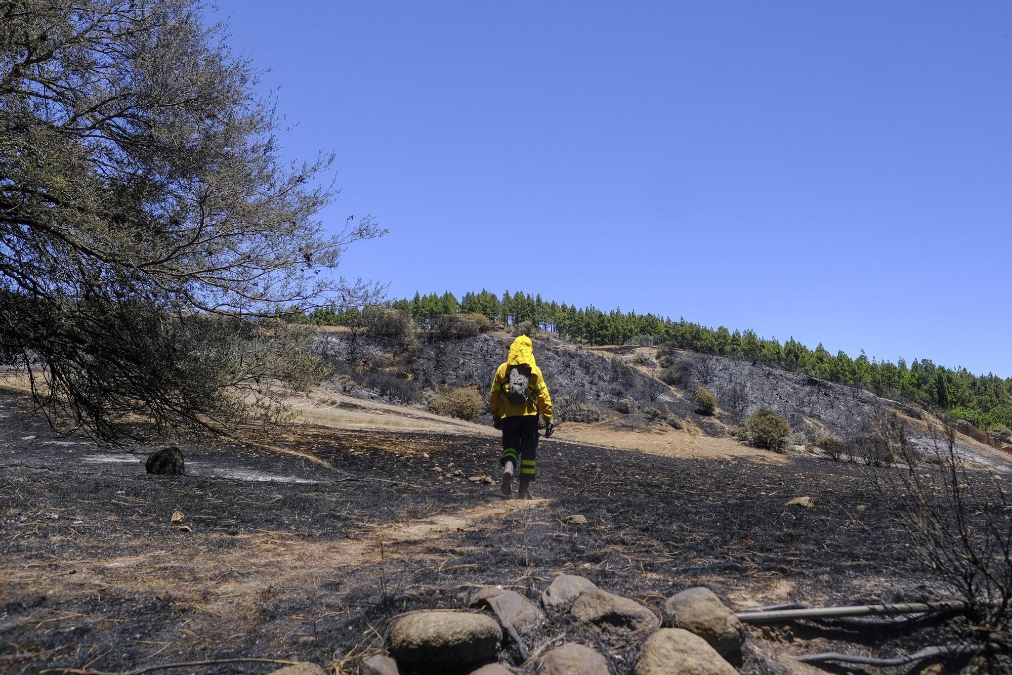 Incendio en la Cumbre de Gran Canaria: después del fuego viene la calma