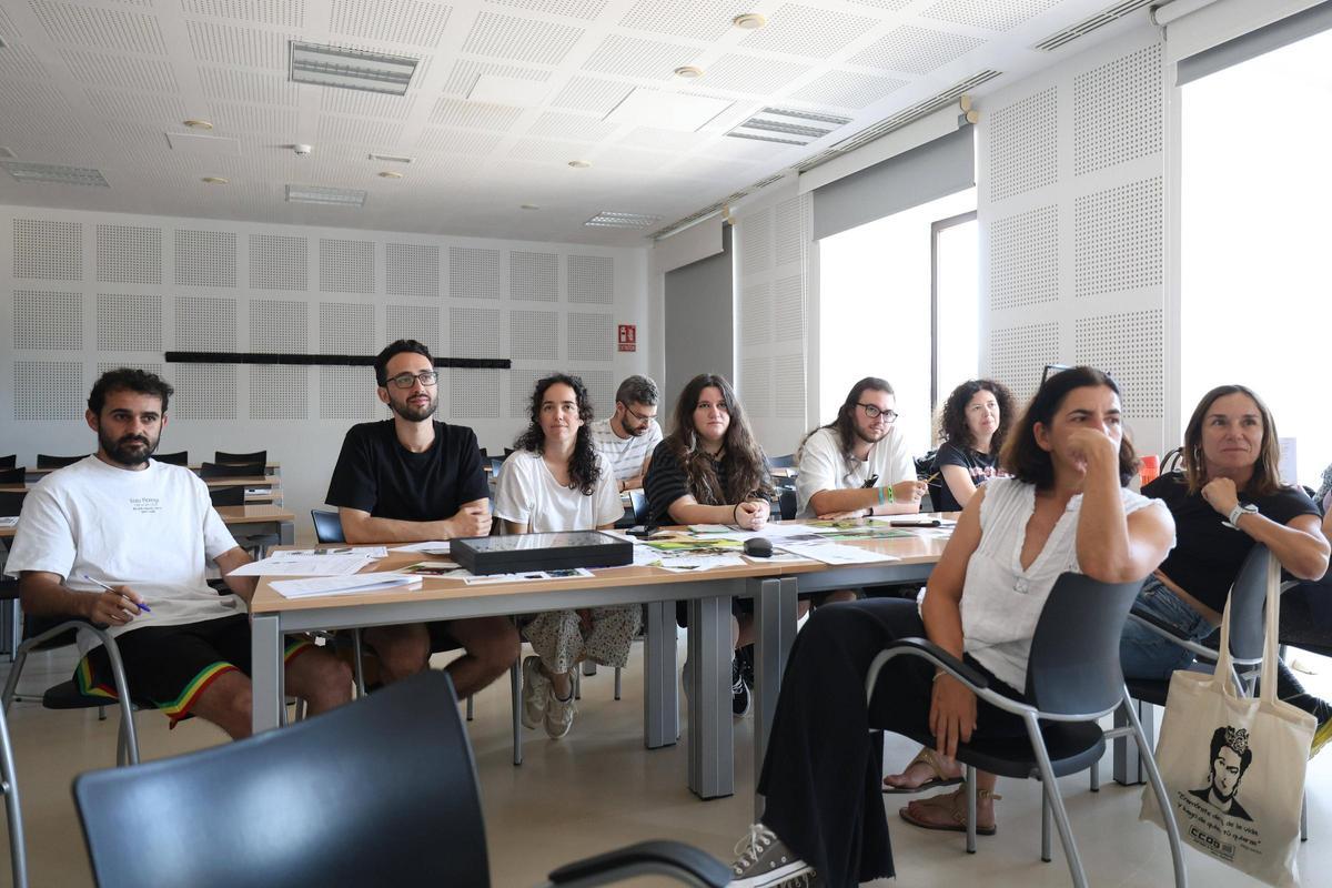 Un taller para identificar las abejas silvestres de Baleares
