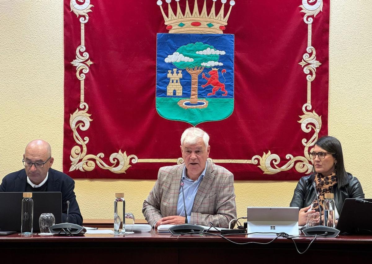 Alpidio Armas, en el centro de la imagen, preside la sesión plenaria.