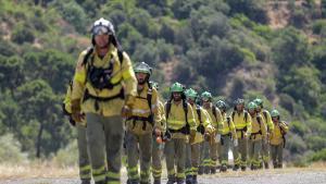 Bomberos forestales regresan después de trabajar durante toda la noche en un incendio en Pujerra (Málaga), en 2022.