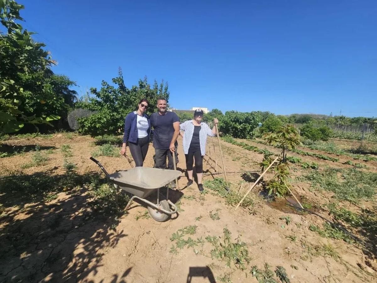 El huerto de la familia en Aldaia.