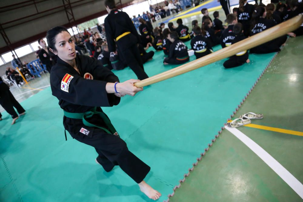 Campeonato regional de hapkido