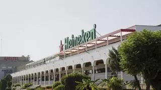 Heineken genera 677 millones de euros en la economía de la Comunitat Valenciana, un 0,5 % de su PIB