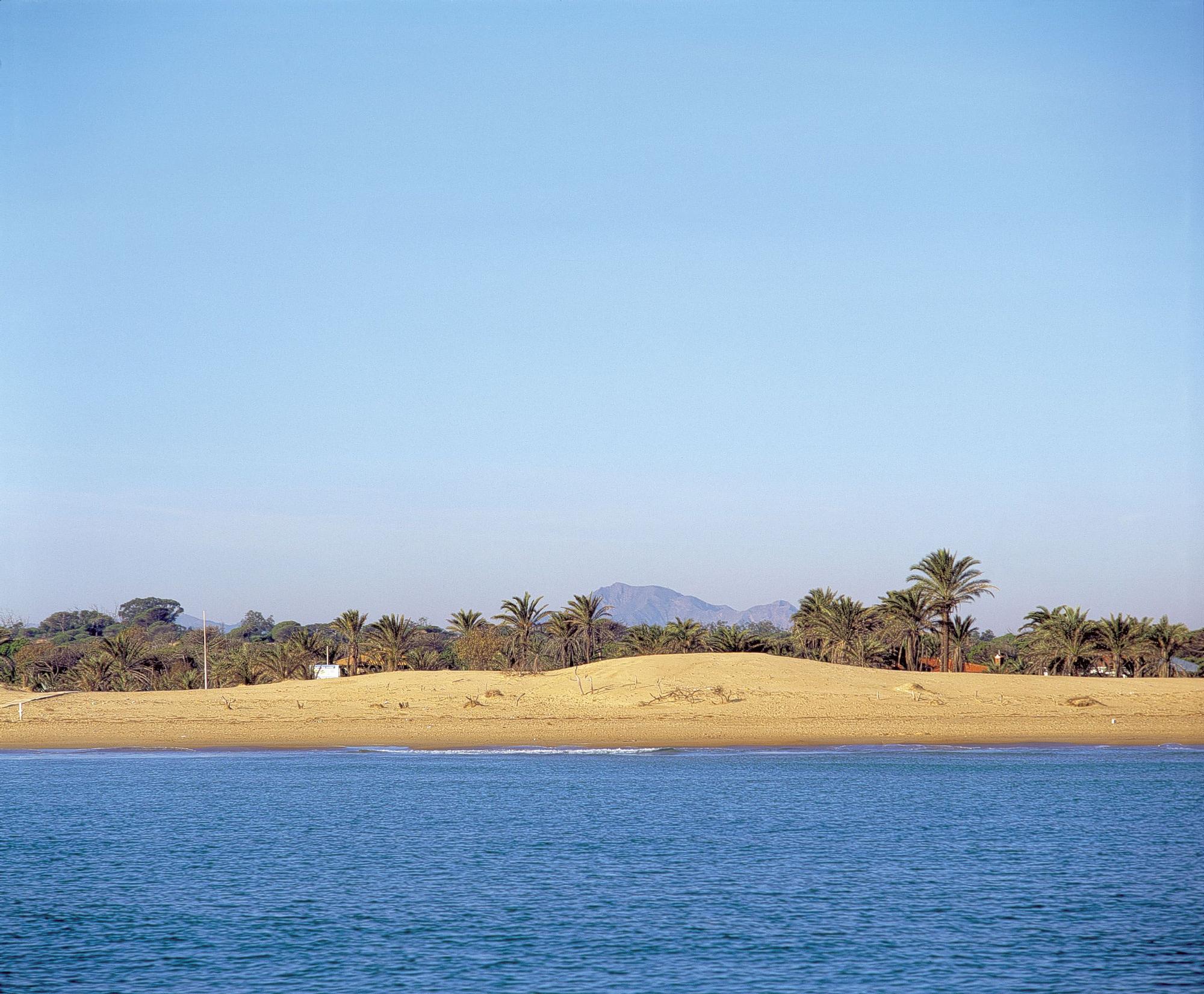 Las playas de la Vega Baja, entre dunas de fina arena, ofrecen un amplio abanico de posibilidades.