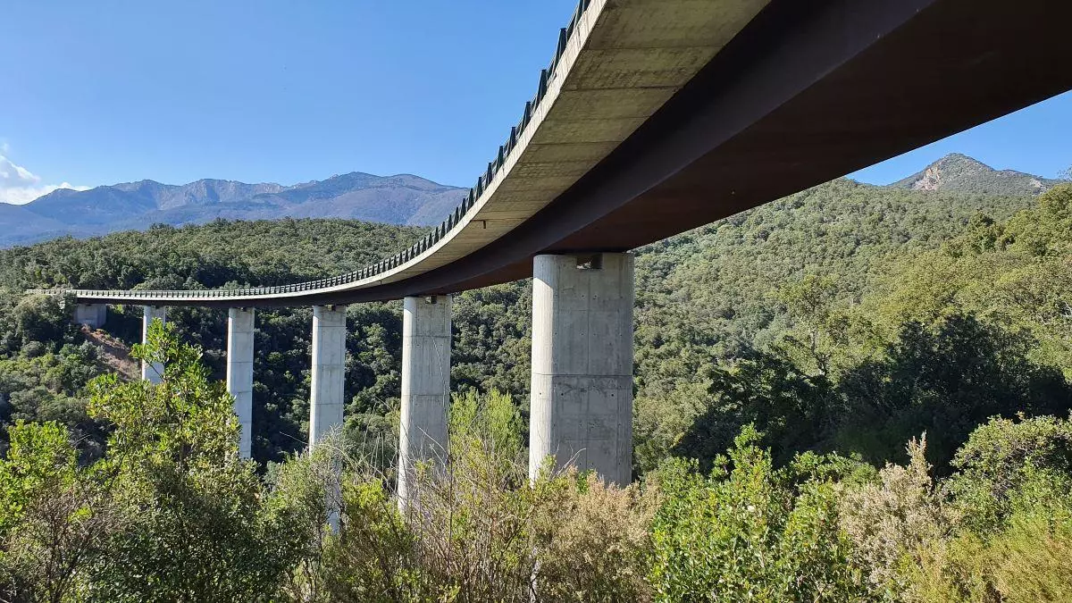 Passos de fauna pioners i tecnologia intel·ligent: l’Empordà lidera la lluita contra els accidents amb fauna a les carreteres