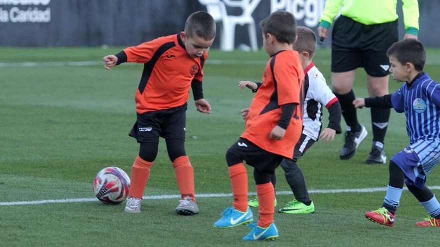 Todo el fútbol base y fútbol sala regional