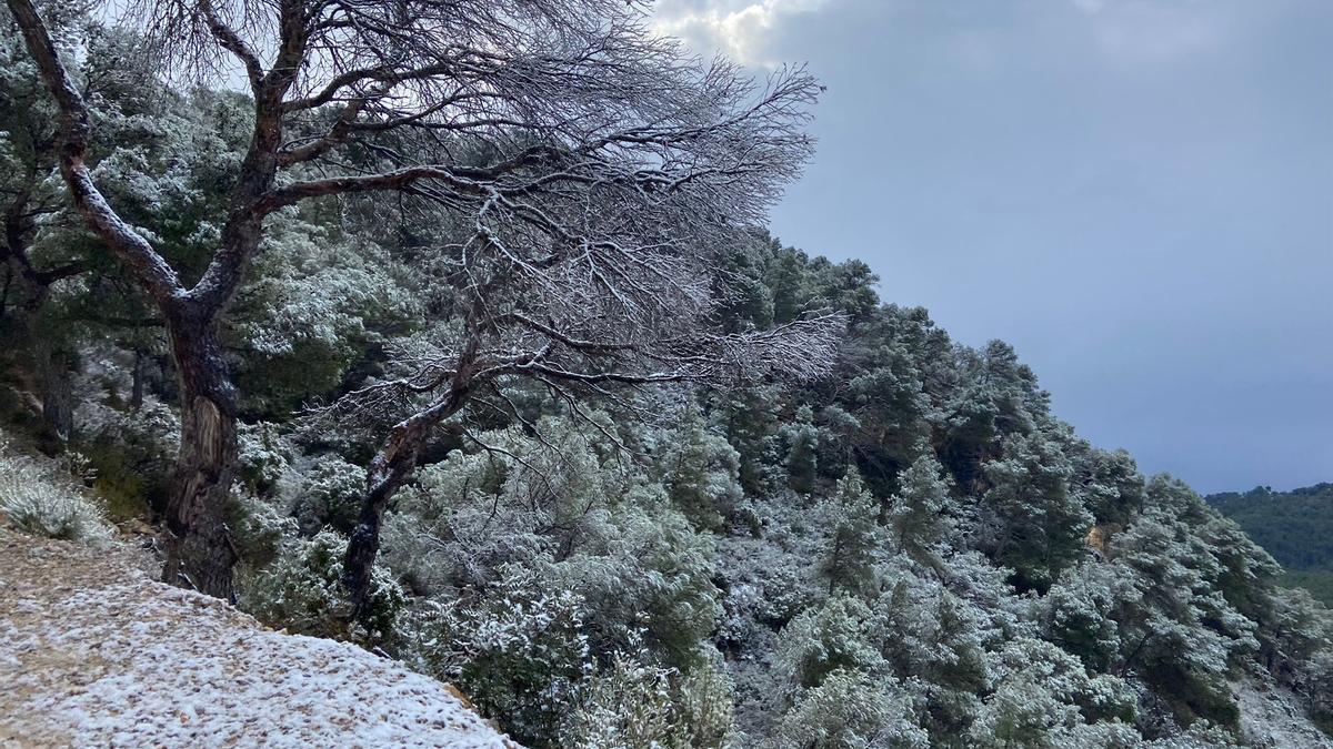 Bajada de temperaturas en Ibiza: Una manta de granizo cubre Siesta