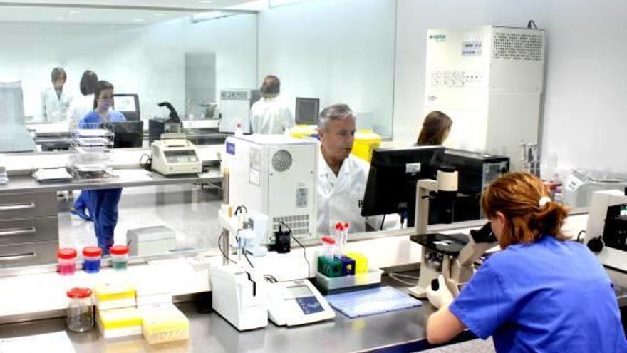 Imagen de los laboratorios del Instituto Bernabeu de Alicante.