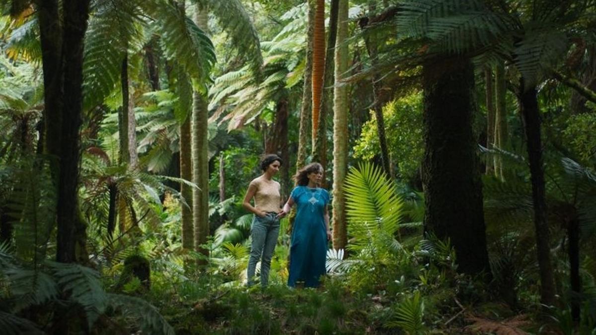 Un fotograma de 'Sycorax', de Lois Patiño y Matías Piñeiro