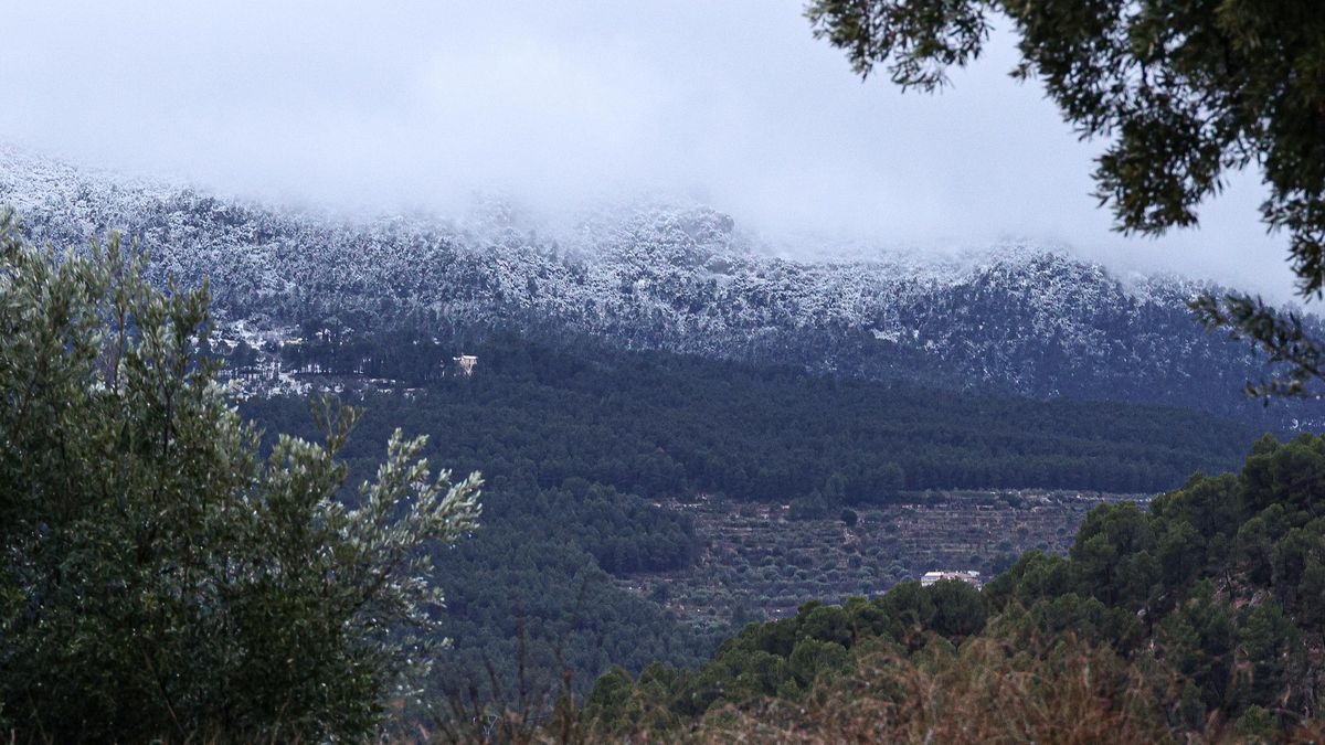 Nieve en Alicante: las estampas más esperadas en invierno