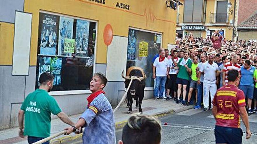 El toro &quot;Patriarca&quot;, en la calle Agujero.