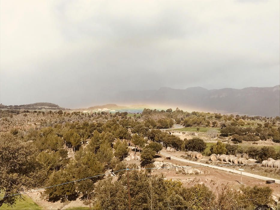 Arc de Sant Martí. S’anaven retirant les boires de la pluja mentre lluïa el sol i sortia un acolorit arc de Sant Martí arran de terra