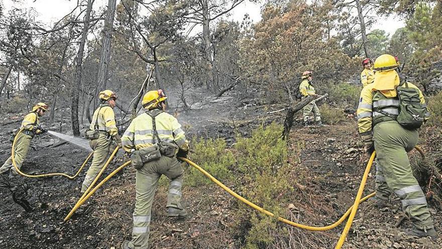 Afectados del fuego de Yeste: «Estamos en pánico, venid ya»