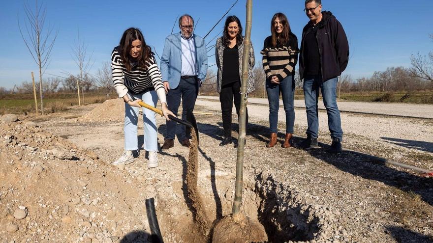 Zaragoza transforma en un paseo arbolado el camino entre La Cartuja Baja y el Ebro