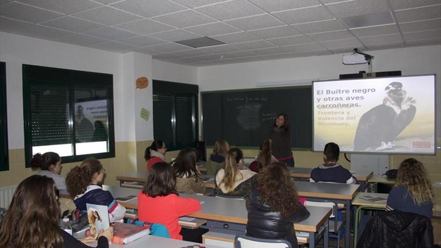 Amus desarrolla actividades sobre la conservación de los buitres negros