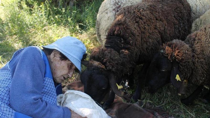 Mor Marina Vilalta, la pastora en actiu més gran de Catalunya