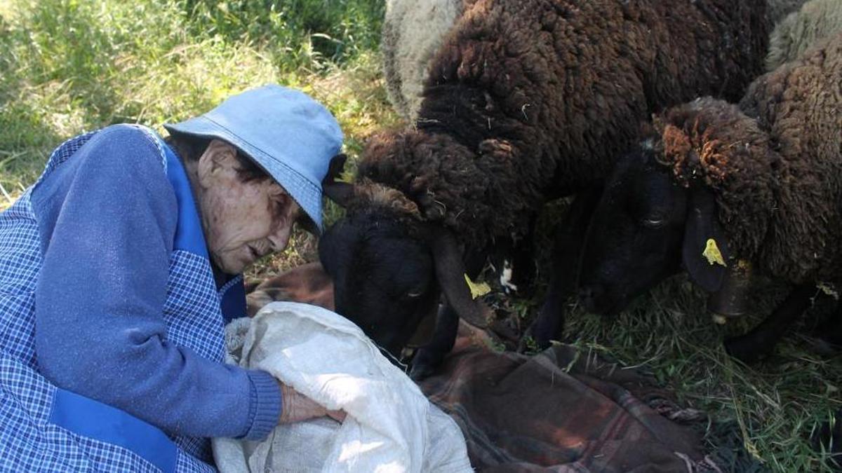 Marina Vilalta, la pastora en actiu més vella de Catalunya.