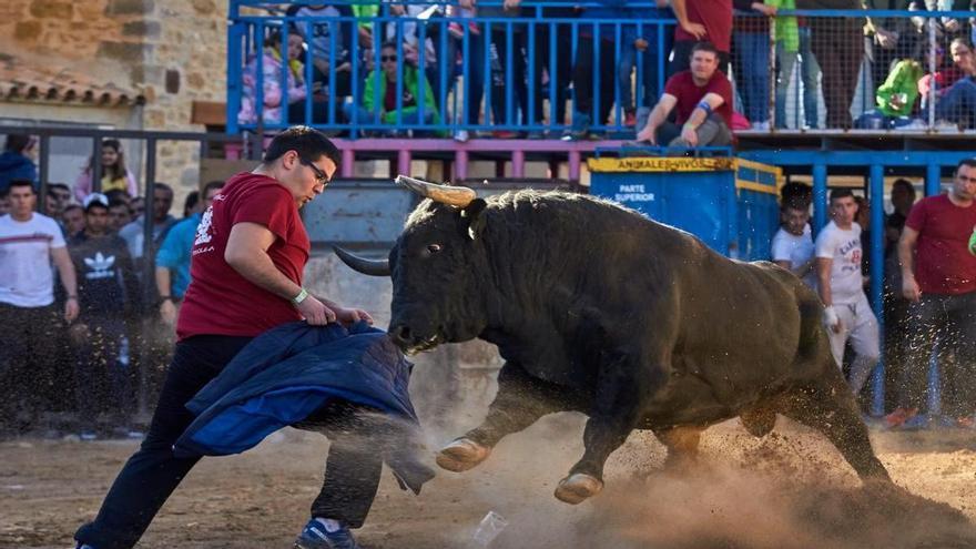 Los 5 pueblos que hacen toros en Castellón este último fin de semana de abril