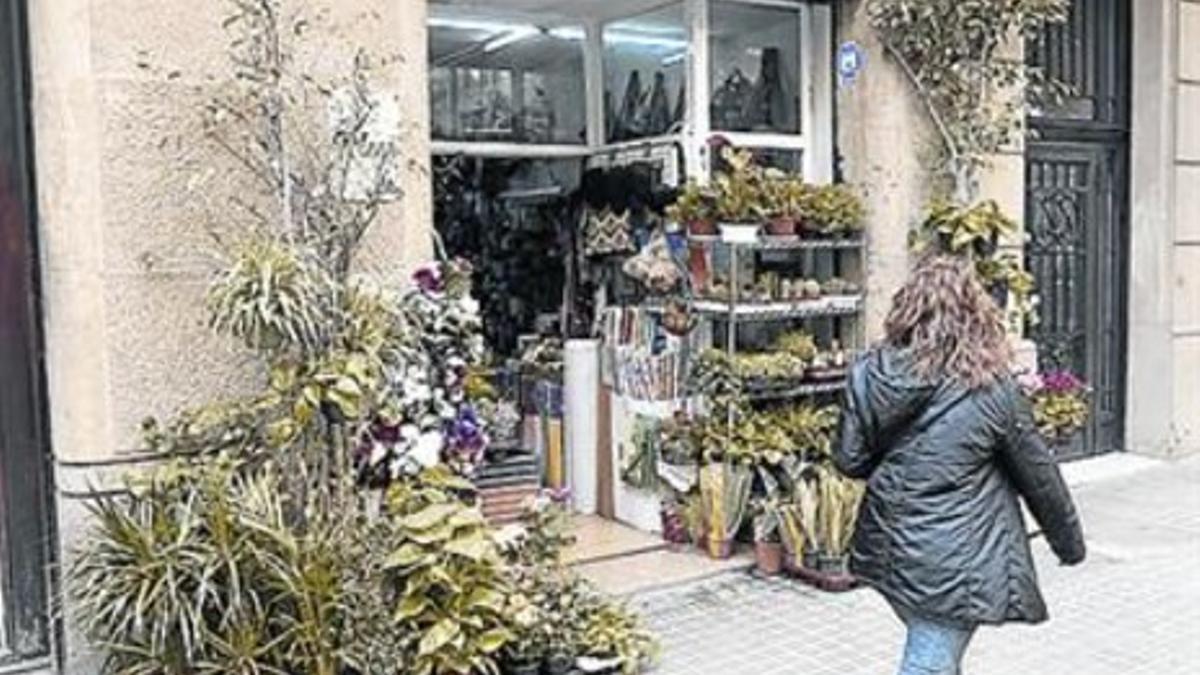 Las plantas también reaccionan a la anestesia