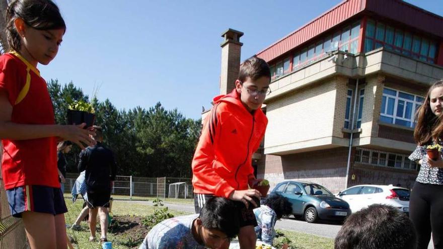 Alumnos del instituto de Salinas, recogiendo la cosecha de los huertos que cuidaron durante el curso.