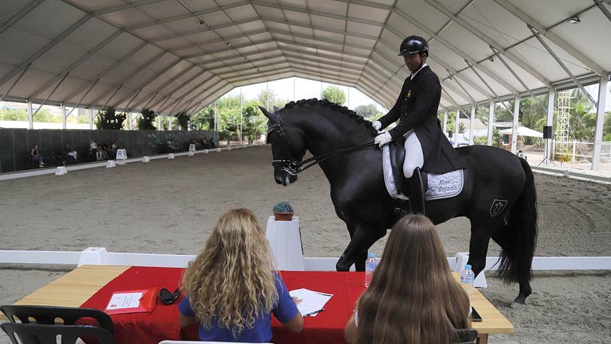 Comienza la semana grande de la Feria del Caballo