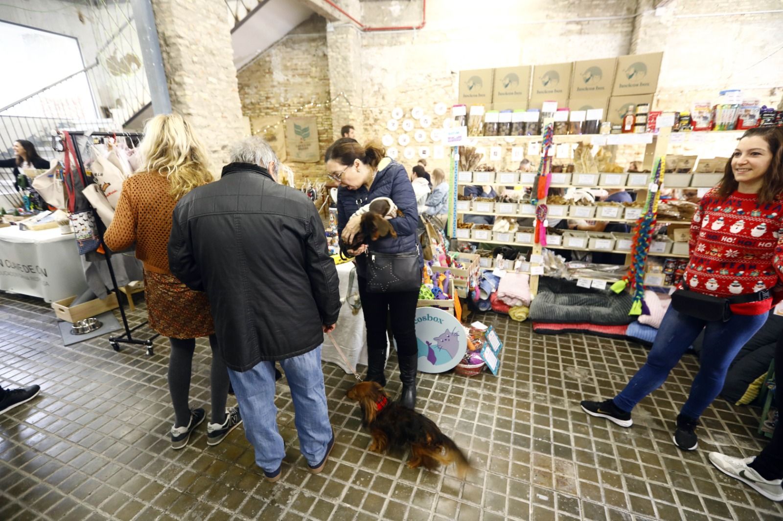 El mercado de mascotas de Zaragoza, en imágenes