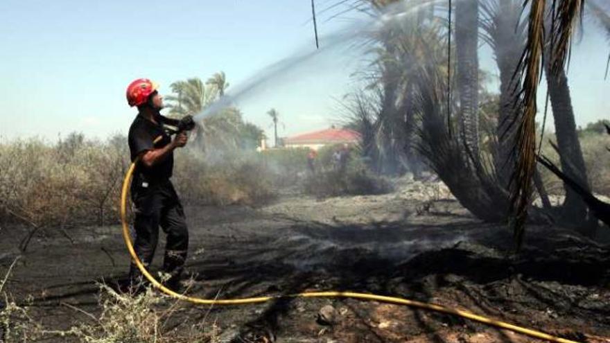 Incendio  en la pedanía de Daimés