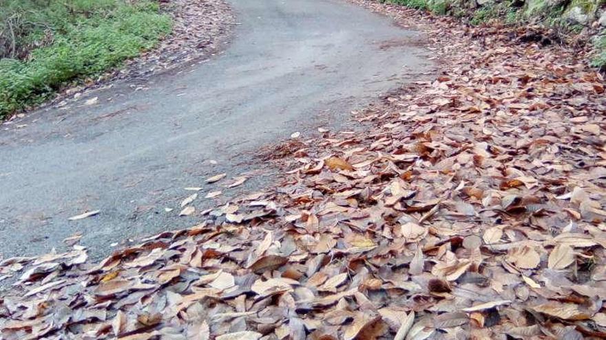 Santo Adriano reclama a Oviedo la limpieza de la vía de San Andrés