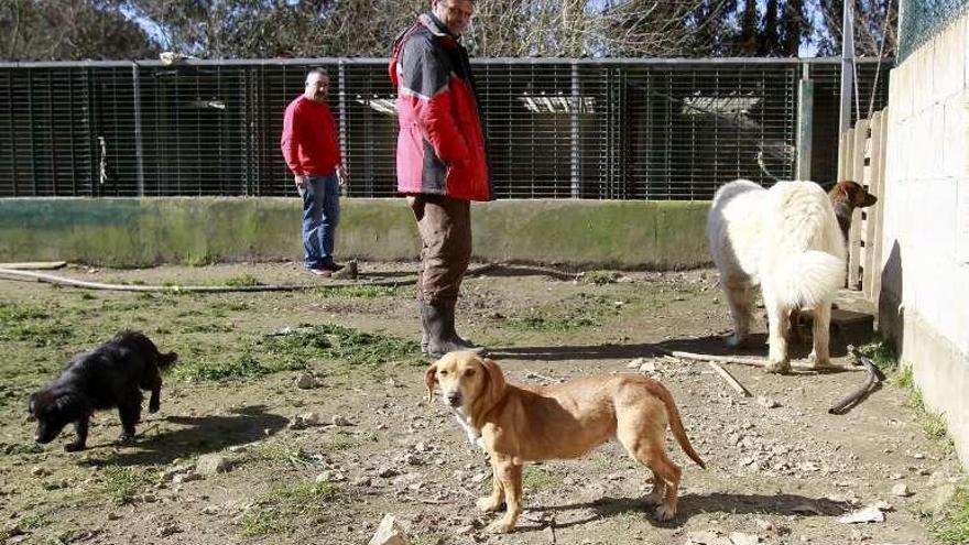 Responsables de la perrera mostraron el recinto en 2012. // J. Lores