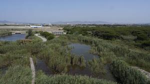 La consultora ambiental de l’ampliació de l’aeroport de Barcelona inicia contactes amb el sector econòmic i científic per justificar el projecte davant Europa