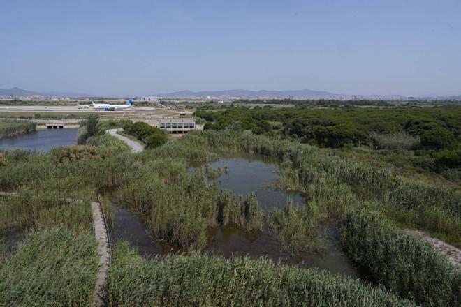 La consultora ambiental de la ampliación del aeropuerto de Barcelona inicia contactos con el sector económico y científico para justificar el proyecto ante Europa