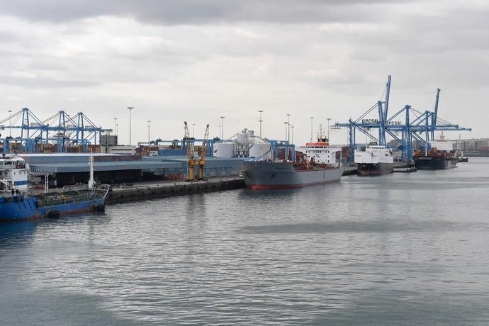 PASEO EN GUAGUA POR EL PUERTO