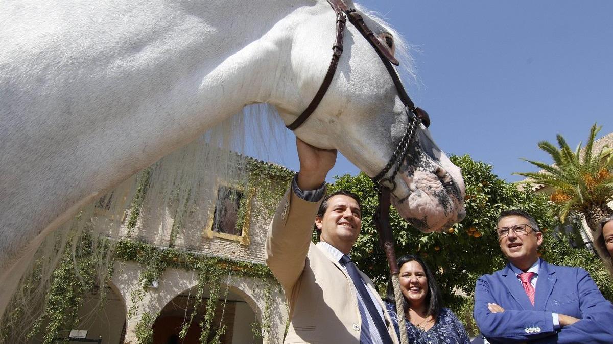 Córdoba Ecuestre cree que la del alcalde es la mejor iniciativa para Caballerizas en años