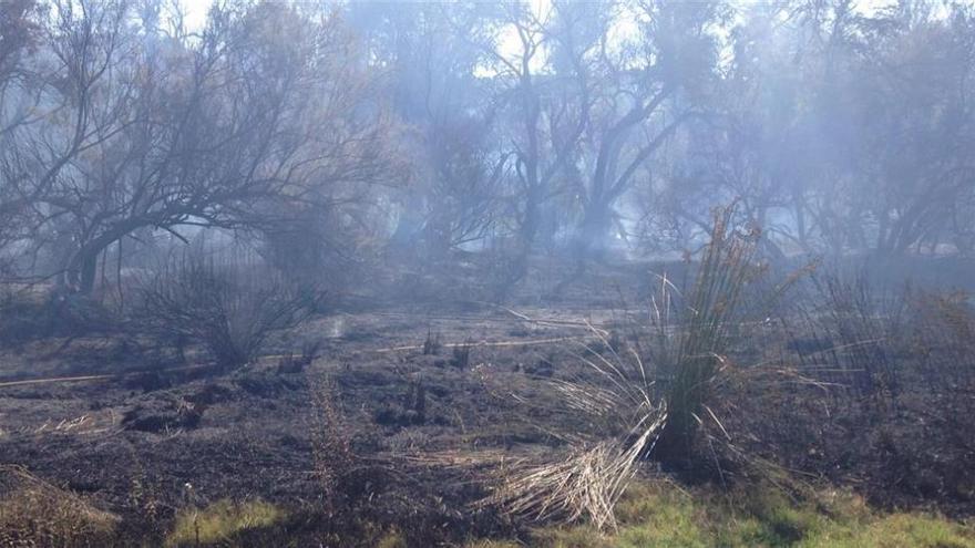 Se queman dos hectáreas en Albendín