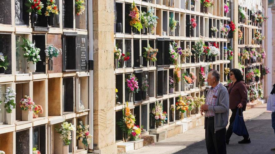 Castelló completa la riparazione di tutti i viali del cimitero di San José e attiva ulteriori misure per ottenere alloggi sociali