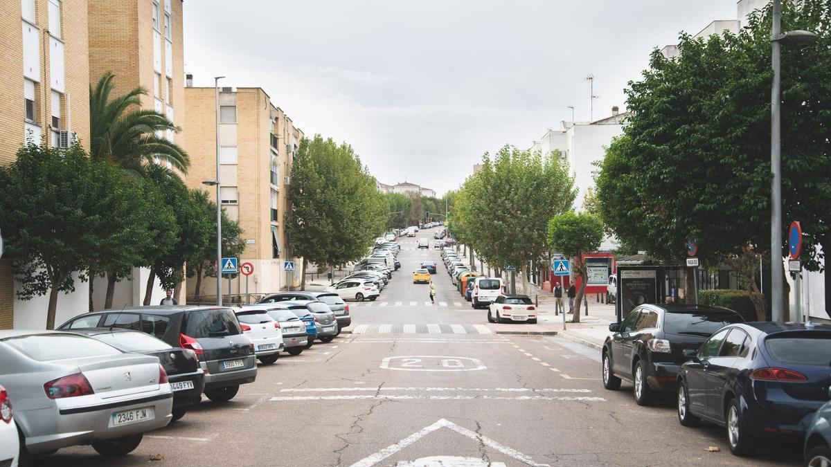 Arbolado de la avenida de las Américas, en la barriada de Nueva Ciudad de Mérida.