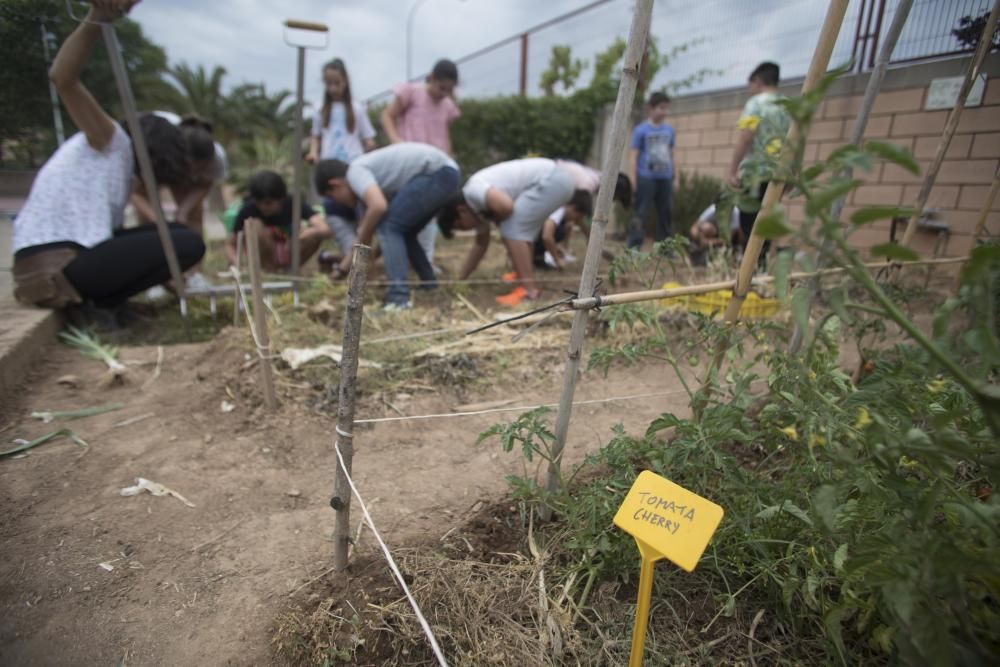 Hort escolar al CEIP Pablo Neruda València