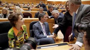 El presidente del Gobierno, Pedro Sánchez, este jueves en el Senado junto a varios miembros del Gobierno y la ejecutiva del PSOE.