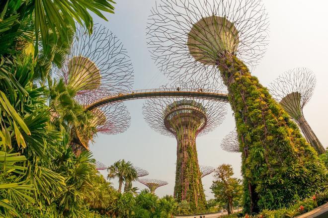 Gardens by the Bay, Singapur, jardines